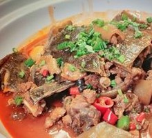 Clay Pot Softshell Turtle