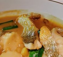 Deep-Sea Yellow Croaker