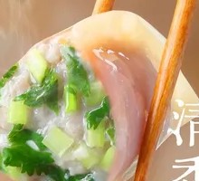 Scallion and Cilantro Pork Dumplings
