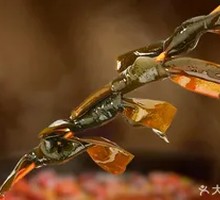 Hot Pot Boiled Tofu Balls