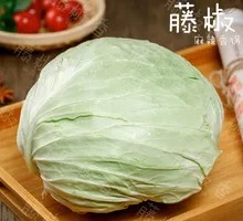 Cabbage