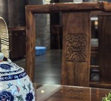 Cold-Pressed Wild Greens Salad