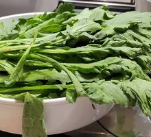 Large-leaf Chrysanthemum Greens