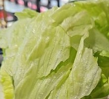 Romaine lettuce