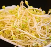 Mung Bean Sprouts