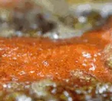 Le Shan Sweet Skin Braised Duck