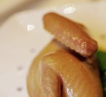 20-Year-Old Braised Salted Pigeon, Nanjing Style