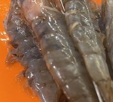 Large Sea Shrimp