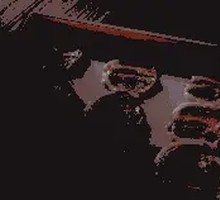 Fresh Cut Wagyu Beef Top Sirloin