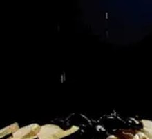 Origin Mushroom Basket