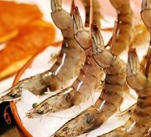 Bohai Bay White Shrimp