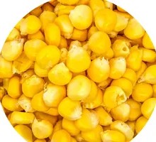 Sweet Corn Kernels