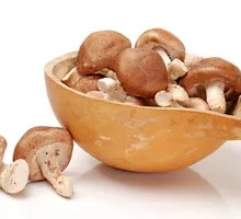 Shiitake Mushroom