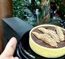 Chocolate Blueberry Tart