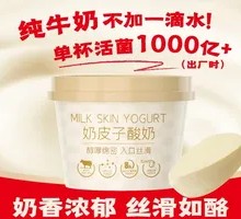 Creamy Milk Yogurt