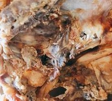 Crispy Chicken Frame