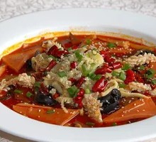 Chongqing Maoxuewang