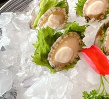 Six Fresh Abalone