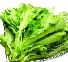 Chinese chrysanthemum greens