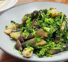 Malantou Chicken of the Woods