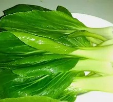 Oilseed lettuce