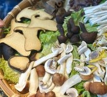 Mushroom Hot Pot