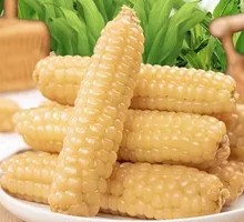 Thumb Corn