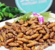 Crispy Fried Silkworm Pupae