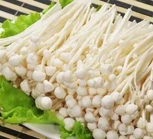 Enoki Mushroom