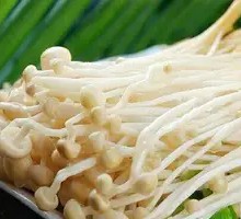 Enoki Mushroom