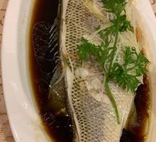 Steamed Sea Bass