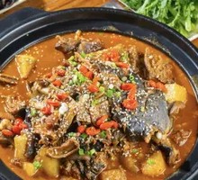 Bald Eagle Turtle Chicken