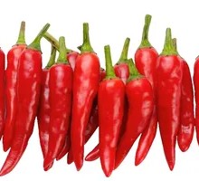 Spicy Noodles with Soul