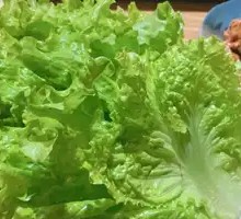 Lettuce