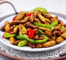 Stir-fried Silkworm Pupae