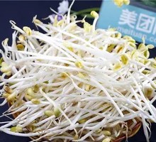 Mung Bean Sprouts