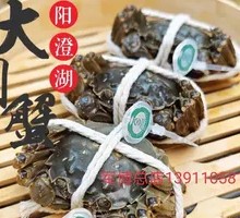 Yangcheng Lake Male Crab