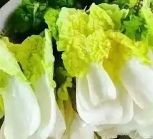 Yellow Heart Cabbage