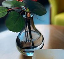 Layered Pastry Pancake