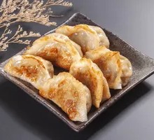 Special Pan-Fried Dumplings