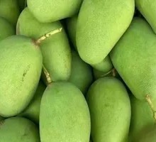 Green Mango
