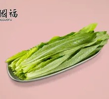 Oilseed lettuce