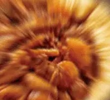 Family Feast Stew with Flatbread