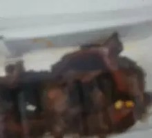 Zhou Black Duck Neck Pieces