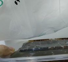 Steamed glutinous rice cake