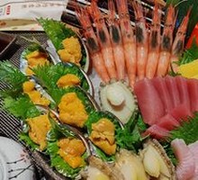 Sea Urchin