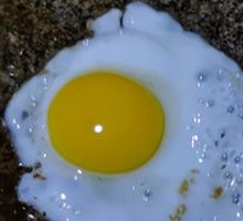 Quail Egg