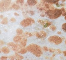 Beef and Cilantro Pancake