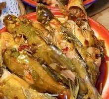 Freshly Caught Yellow Catfish