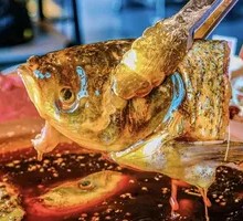 Bighead Carp Head